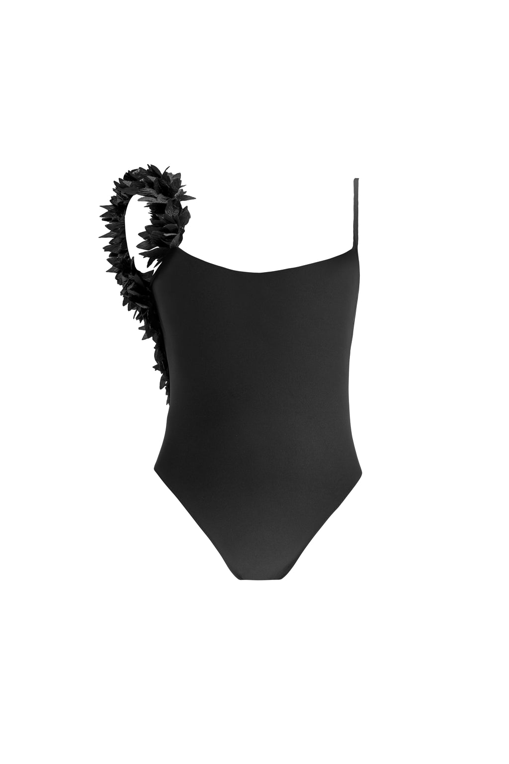Petite Assuan Black 1